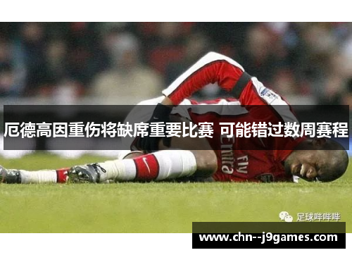 厄德高因重伤将缺席重要比赛 可能错过数周赛程