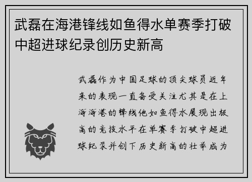 武磊在海港锋线如鱼得水单赛季打破中超进球纪录创历史新高